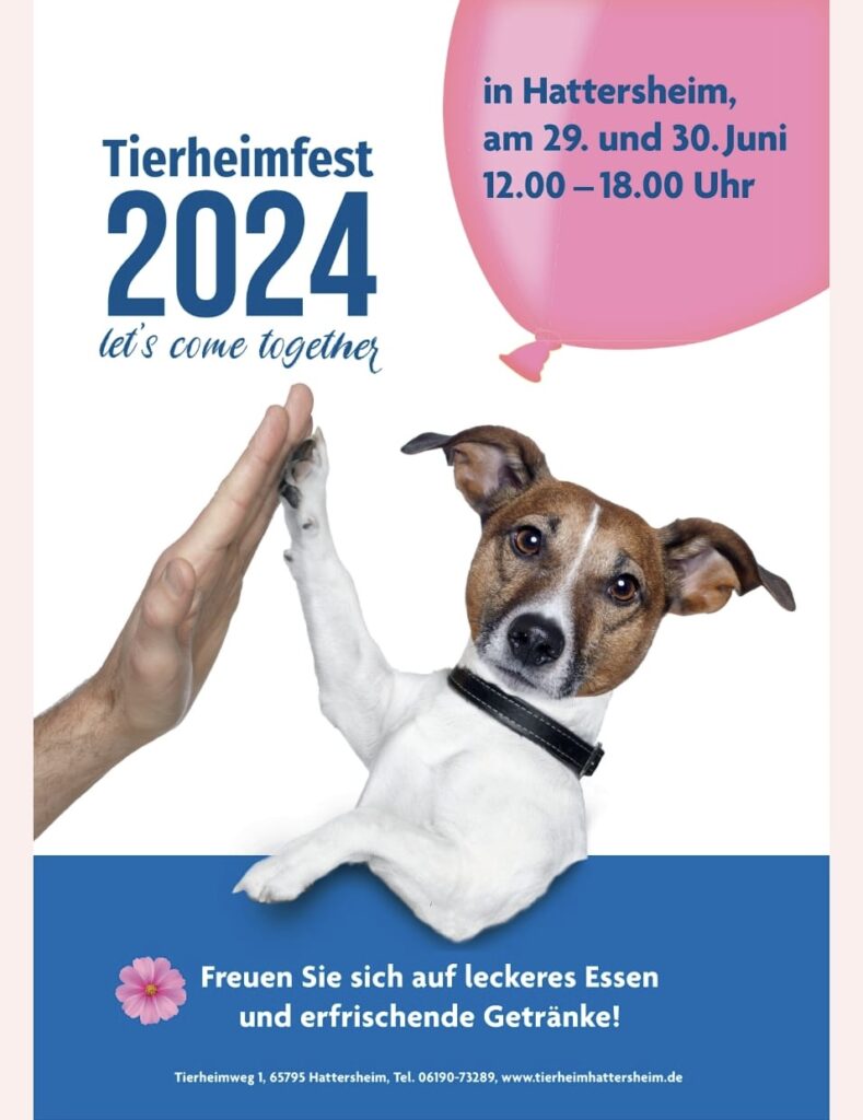 Tierheim Hattersheim - IMG 20240425 WA0006 1
