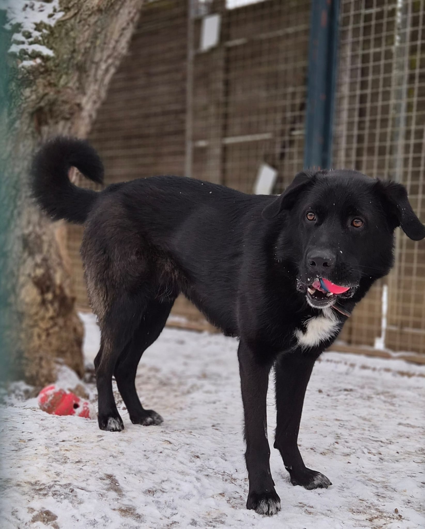 PHOTO-2026-01-06-13-24-08