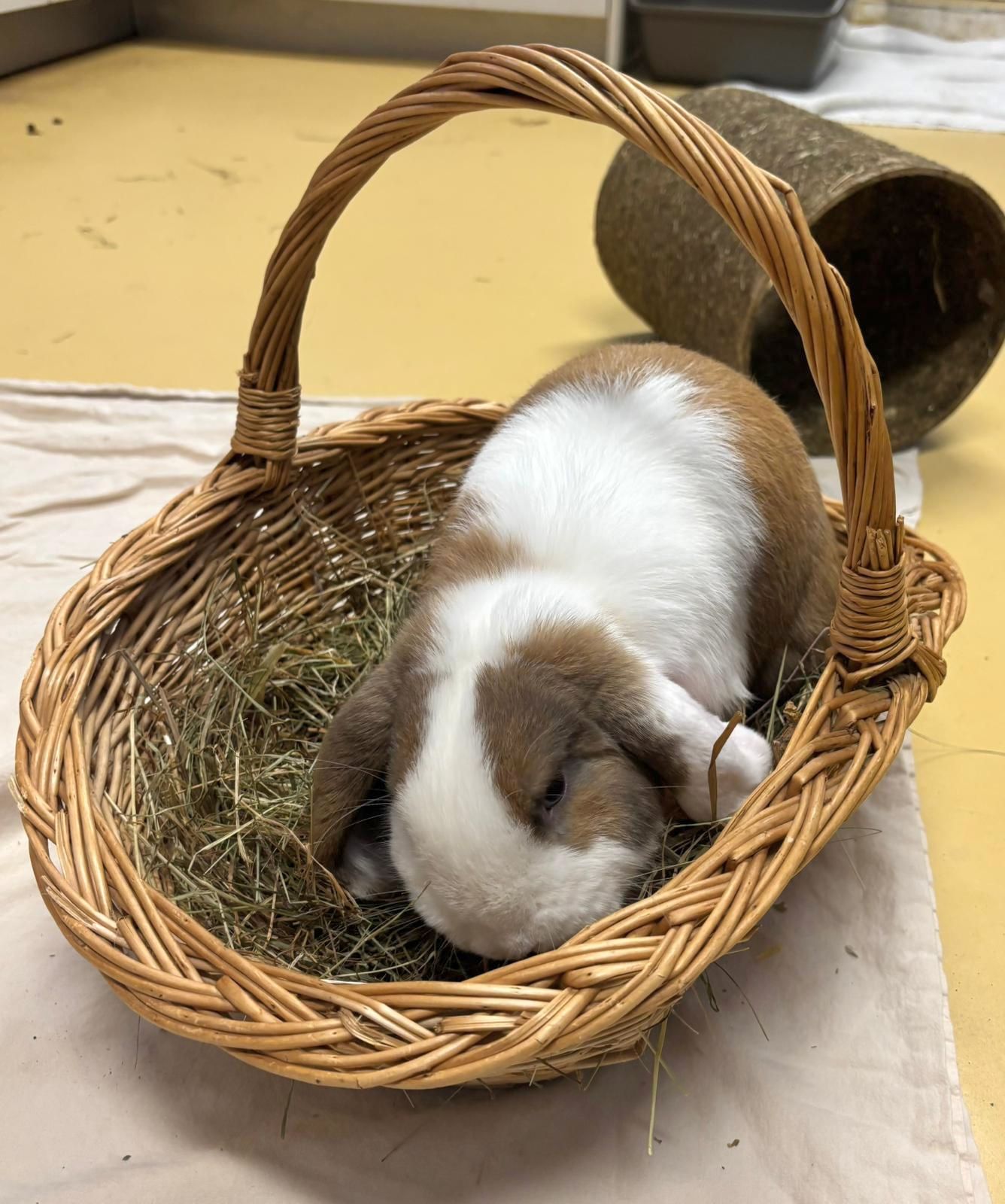 a1e9d4fc-6fb0-4eaa-b35f-12a39967f053