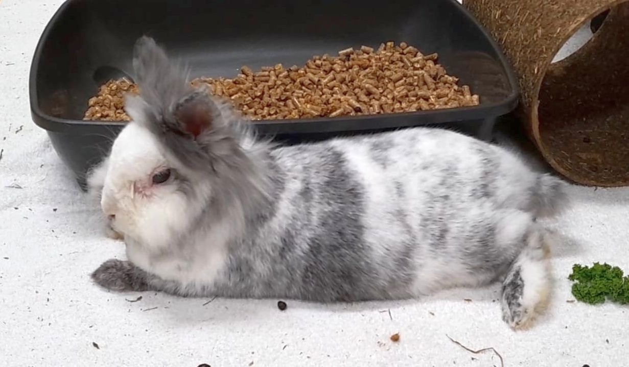 e4a60399-22e0-4570-97f3-4851073799fe