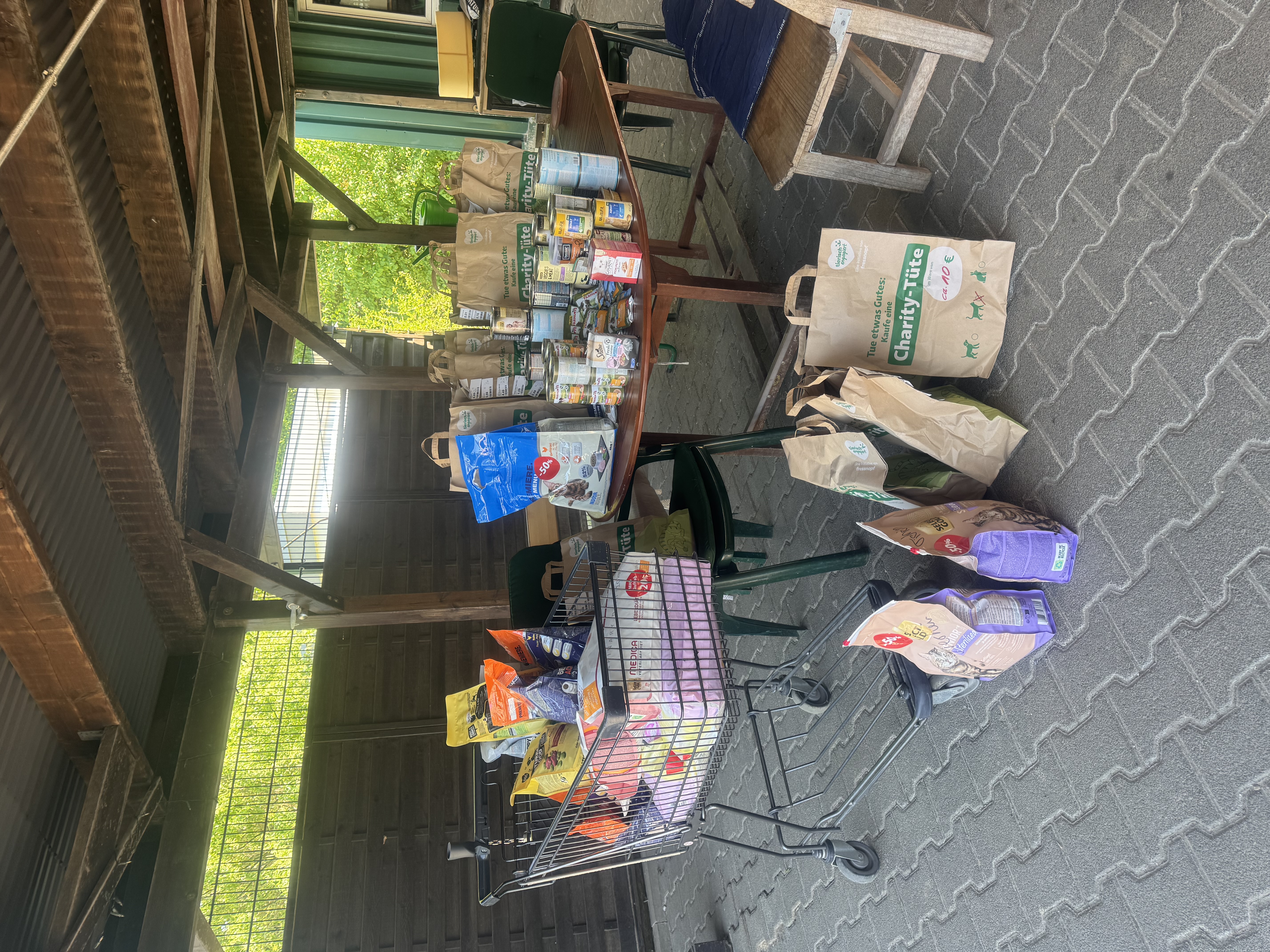 🎁🐰Osteraktion Freßnapf in Nordenstadt 2 Tierheim Hattersheim - IMG 3100