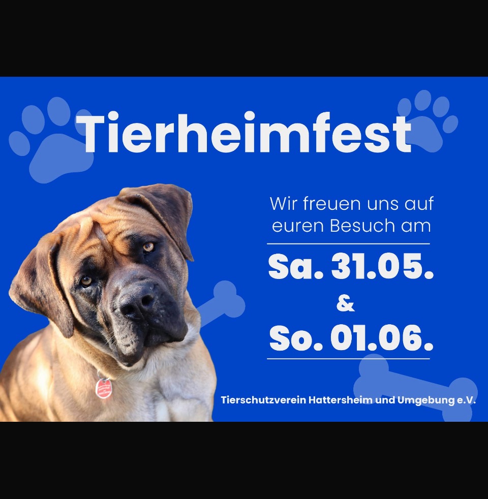 🐶😺 Tierheimfest 🐰🐶 1 Tierheim Hattersheim - IMG 3135