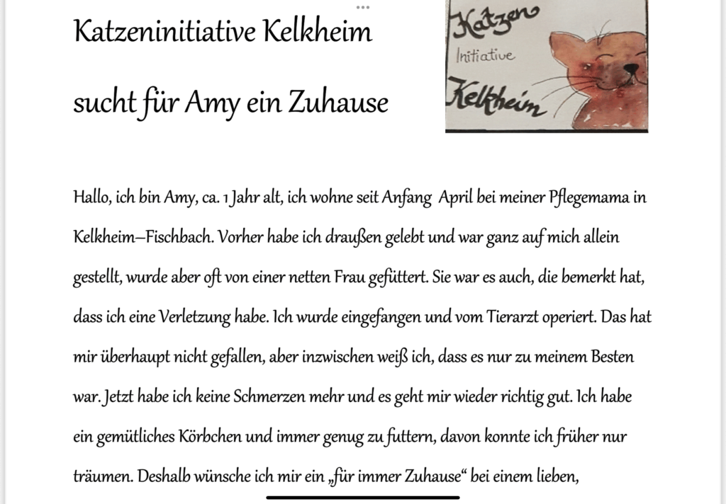 Amy/ nicht im Tierheim 1 Tierheim Hattersheim - IMG 7346