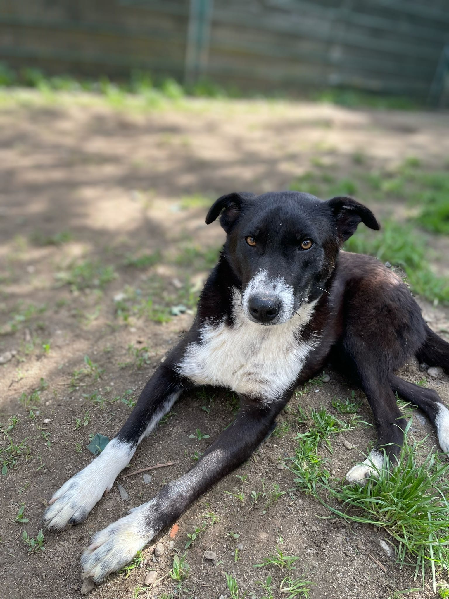 PHOTO-2025-04-27-12-14-54 2