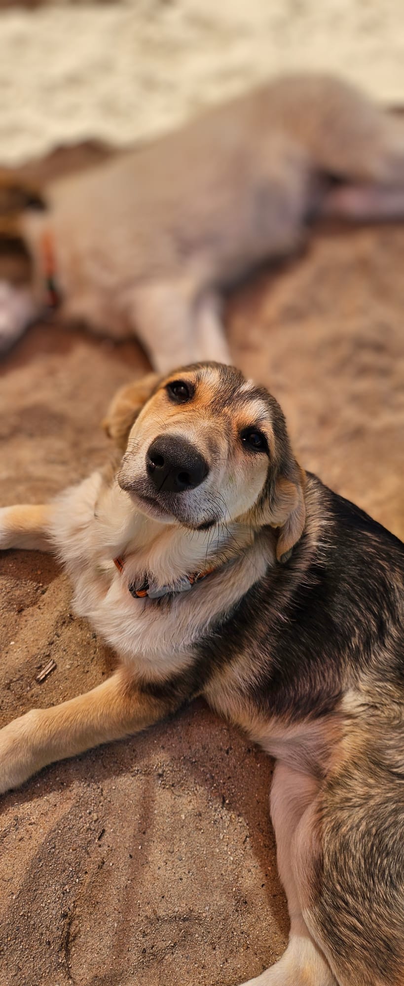 PHOTO-2025-05-13-13-14-37 7