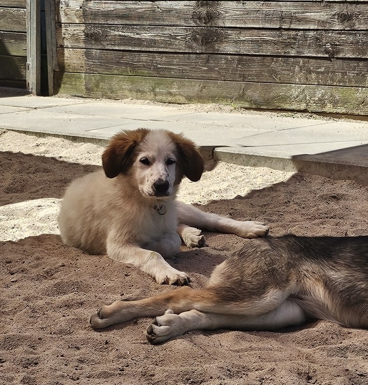 PHOTO-2025-05-13-13-14-37