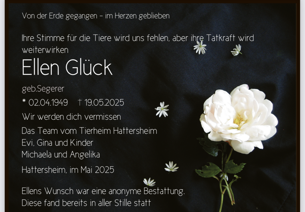 ✝️ Wir nehmen Abschied 🙏🏼 Ellen bleibt in Erinnerung 1 Tierheim Hattersheim - IMG 7358