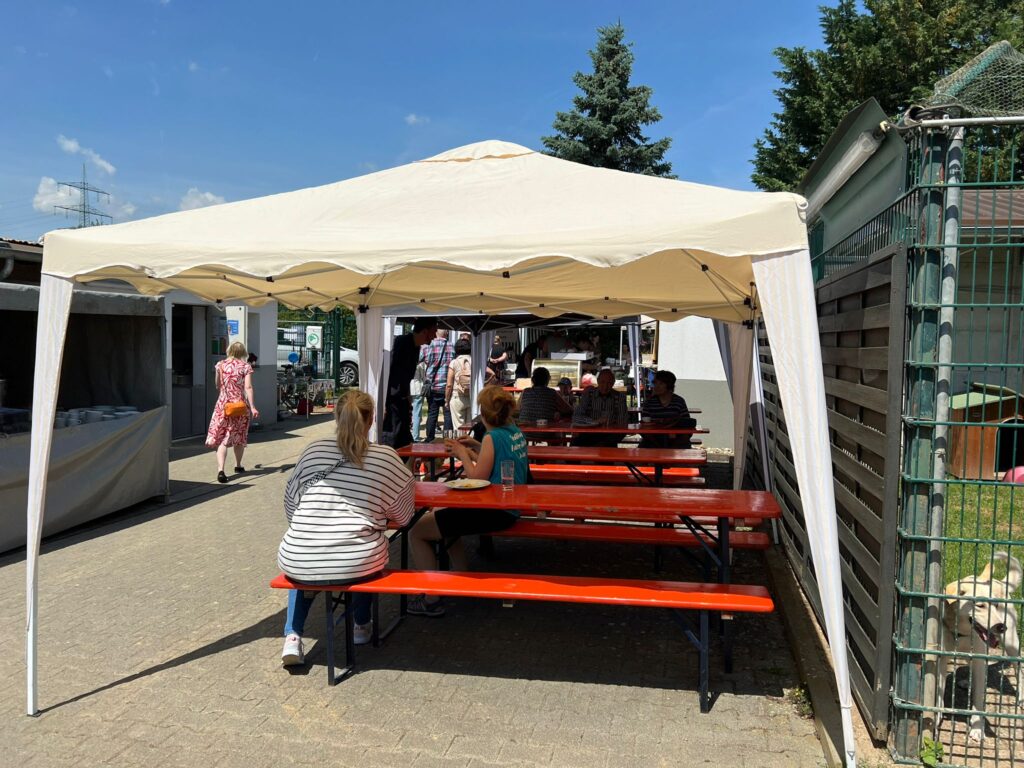 🐶😸🐰Impressionen vom Tierheimfest 📸🏞️ 8 Tierheim Hattersheim - PHOTO 2025 06 02 17 34 43 3