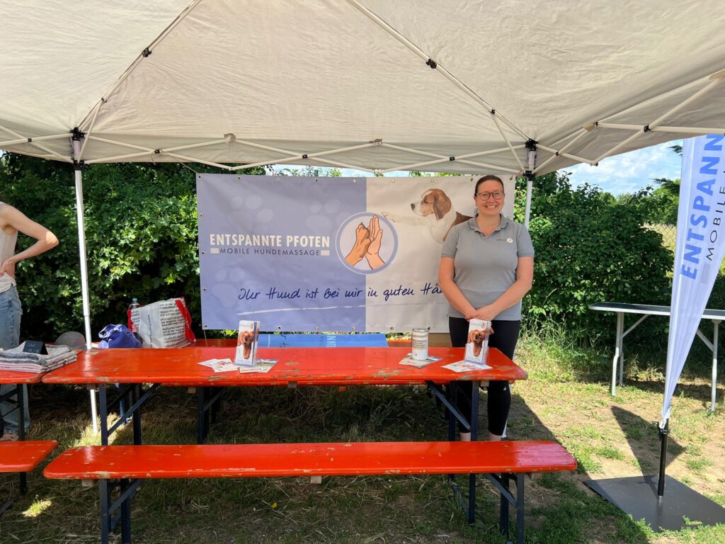 🐶😸🐰Impressionen vom Tierheimfest 📸🏞️ 1 Tierheim Hattersheim - PHOTO 2025 06 02 17 34 43 5