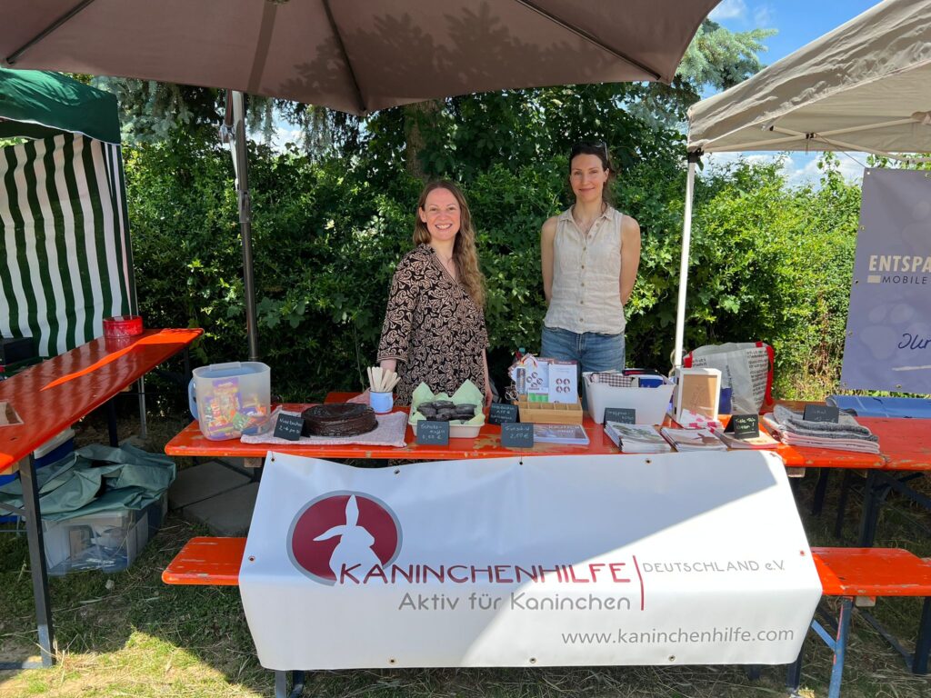 🐶😸🐰Impressionen vom Tierheimfest 📸🏞️ 4 Tierheim Hattersheim - PHOTO 2025 06 02 17 34 43 6