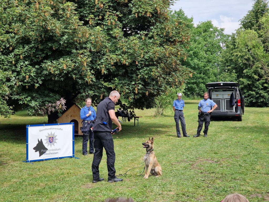 🐶😸🐰Impressionen vom Tierheimfest 📸🏞️ 5 Tierheim Hattersheim - PHOTO 2025 06 03 08 12 54