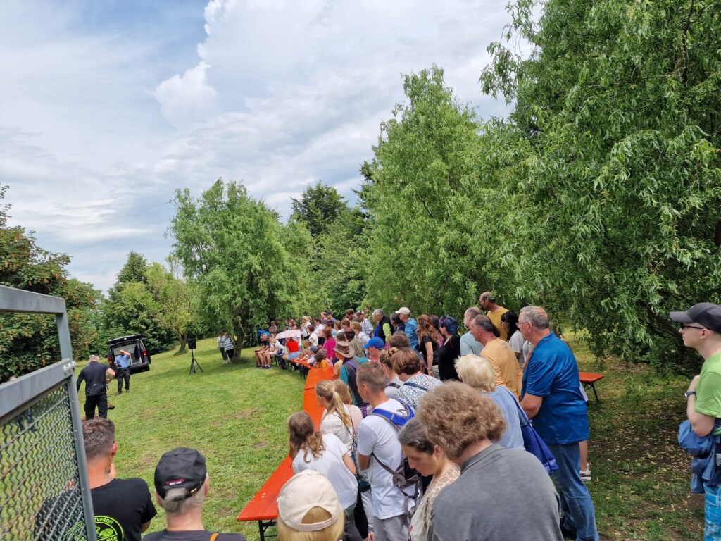 🐶😸🐰Impressionen vom Tierheimfest 📸🏞️ 11 Tierheim Hattersheim - PHOTO 2025 06 03 08 12 54 2