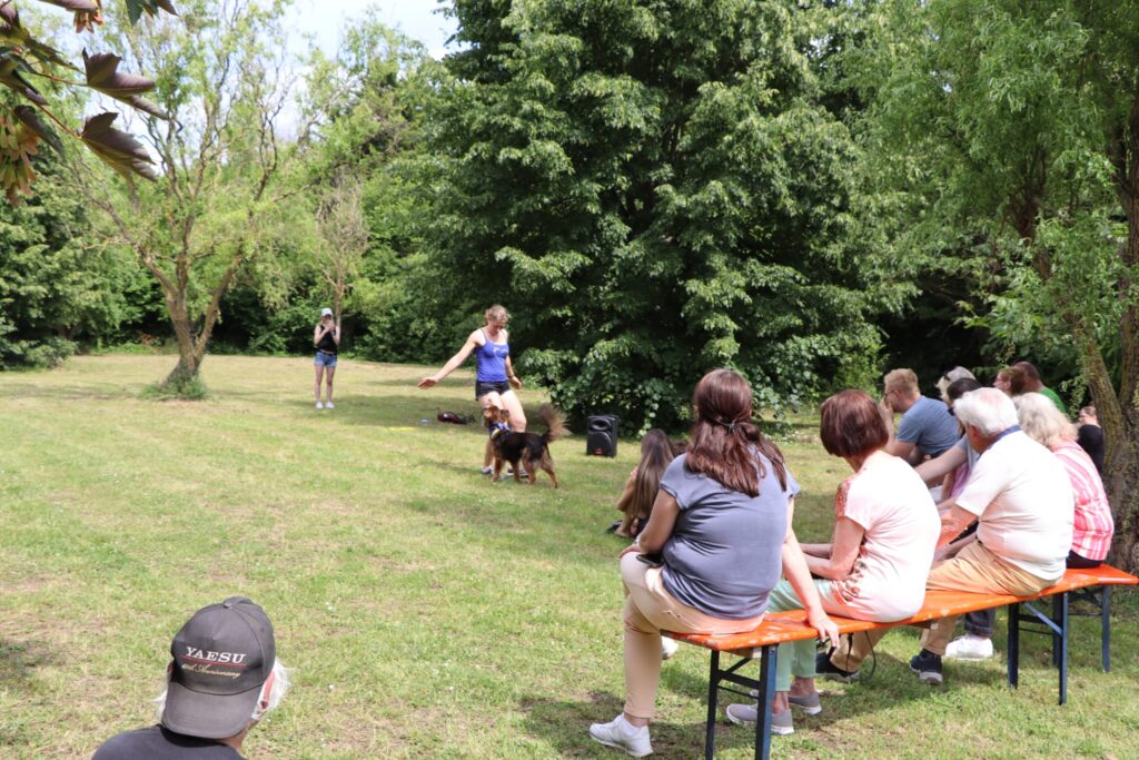 🐶😸🐰Impressionen vom Tierheimfest 📸🏞️ 10 Tierheim Hattersheim - PHOTO 2025 06 03 08 12 54 5