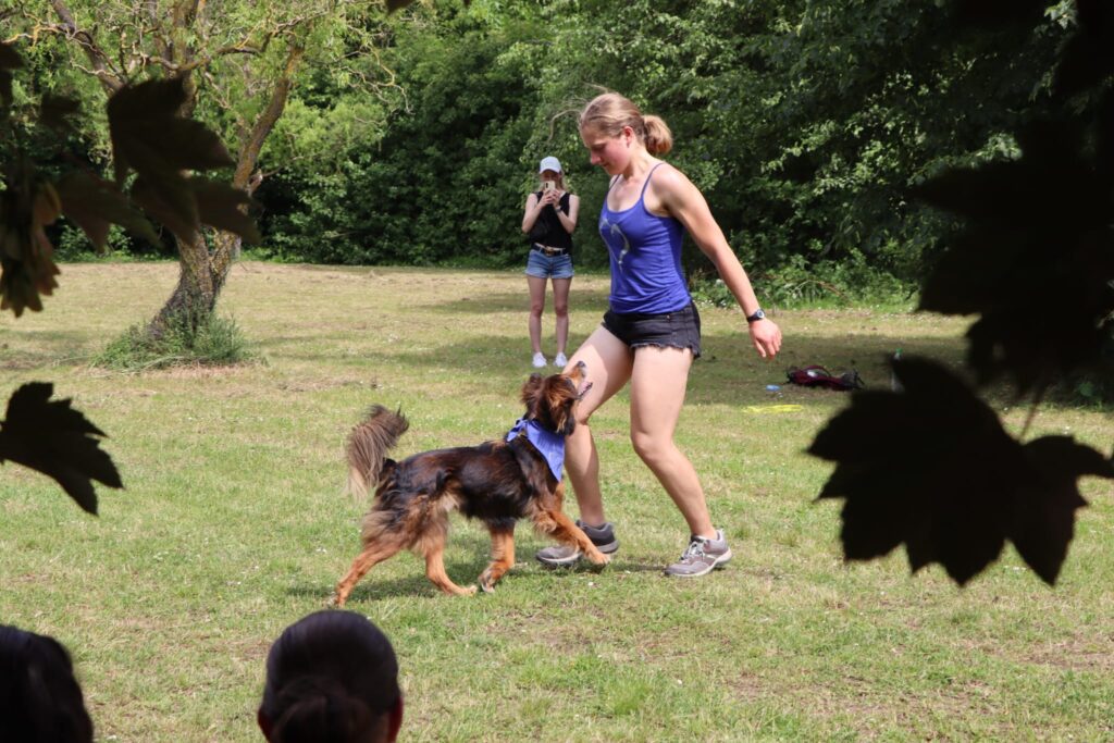 🐶😸🐰Impressionen vom Tierheimfest 📸🏞️ 9 Tierheim Hattersheim - PHOTO 2025 06 03 08 12 54 6