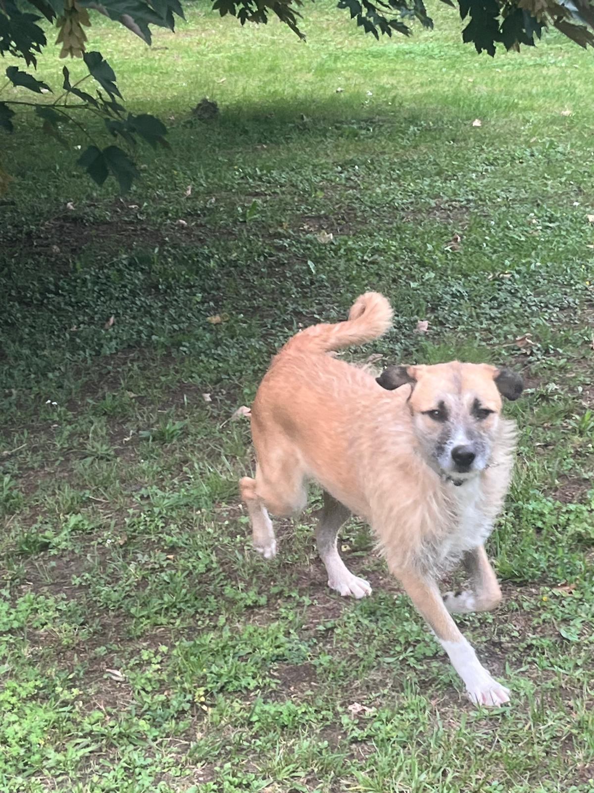 PHOTO-2025-06-05-19-50-27 3