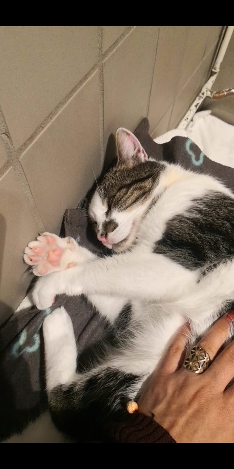 PHOTO-2025-09-28-13-50-44