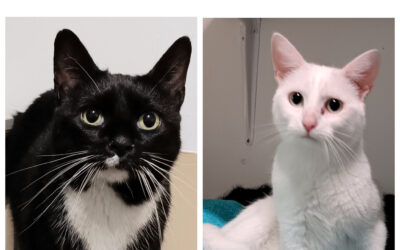 Gloria & Felix