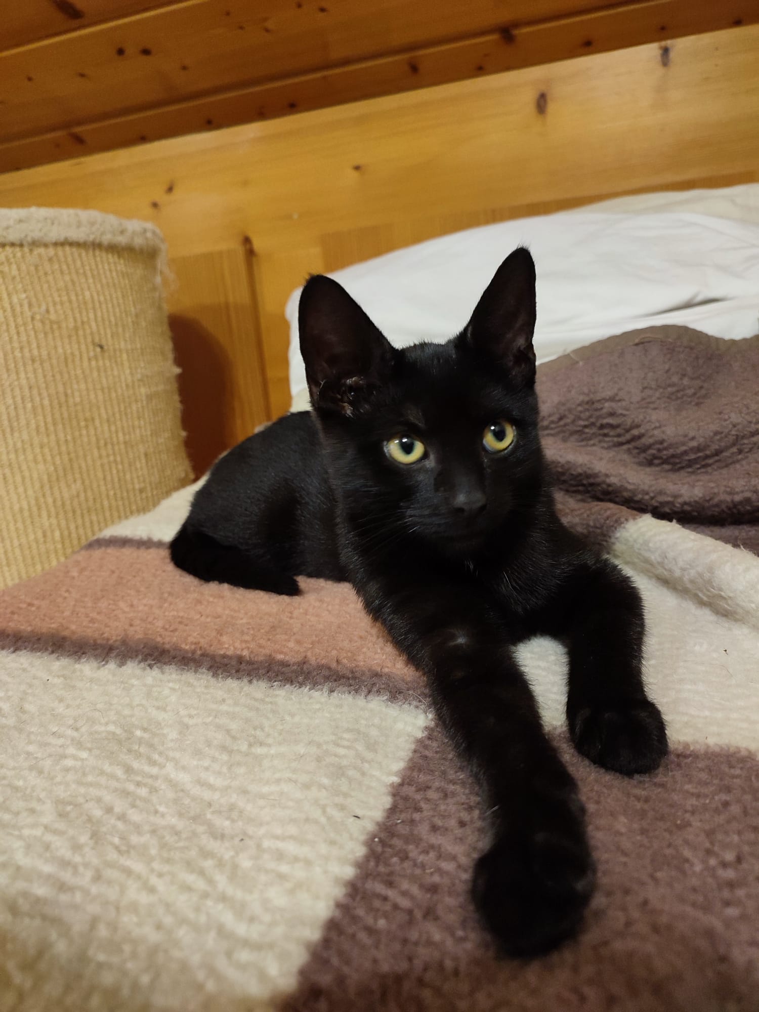 PHOTO-2025-09-26-19-55-29 2