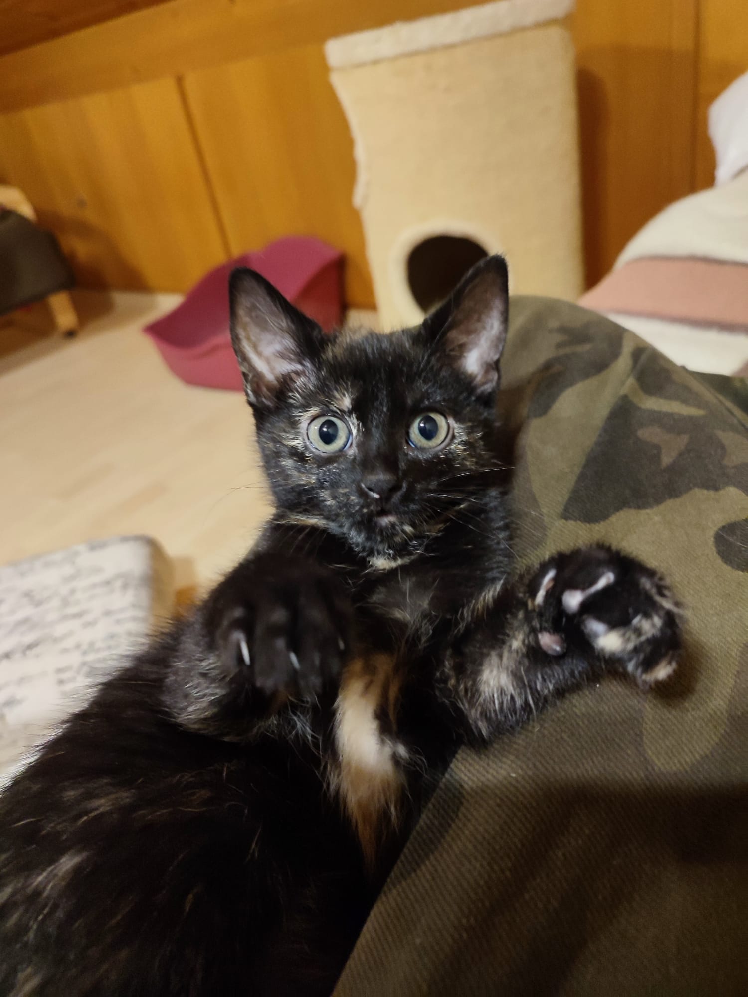 PHOTO-2025-09-26-19-55-30 3