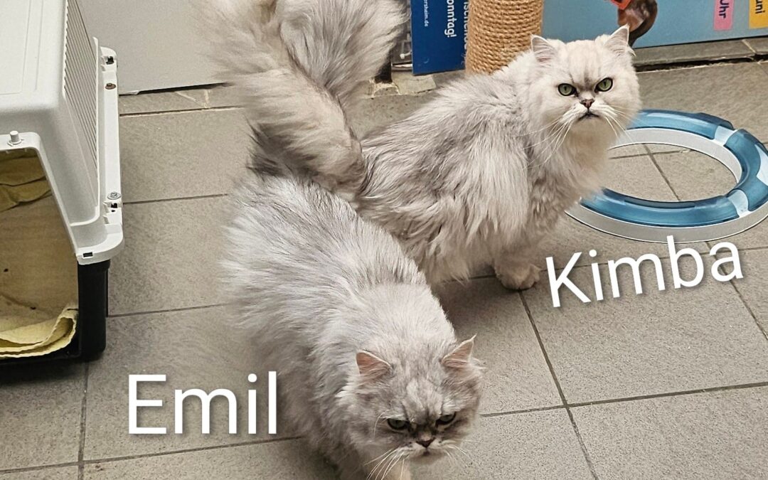 Kimba & Emil