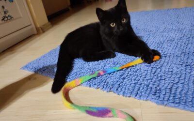 Pixel / Pflegestelle