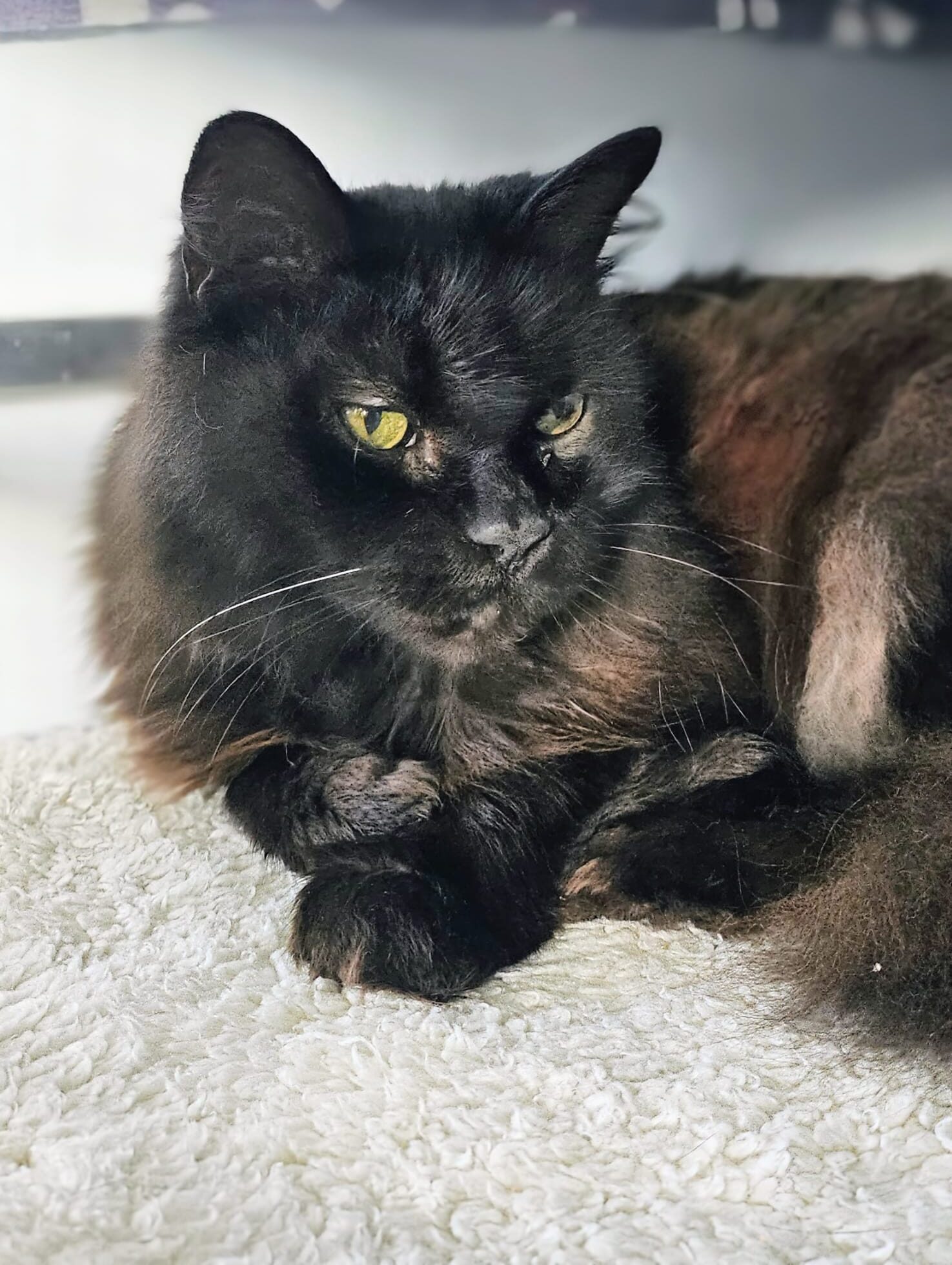 PHOTO-2025-11-04-14-00-57