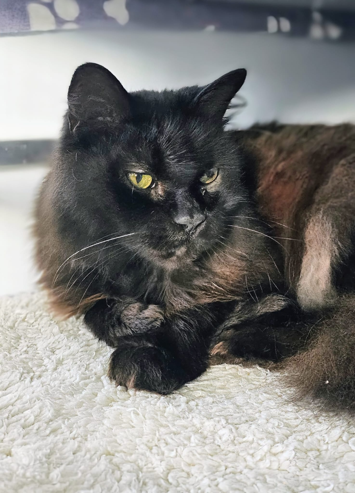 PHOTO-2025-11-04-14-00-57