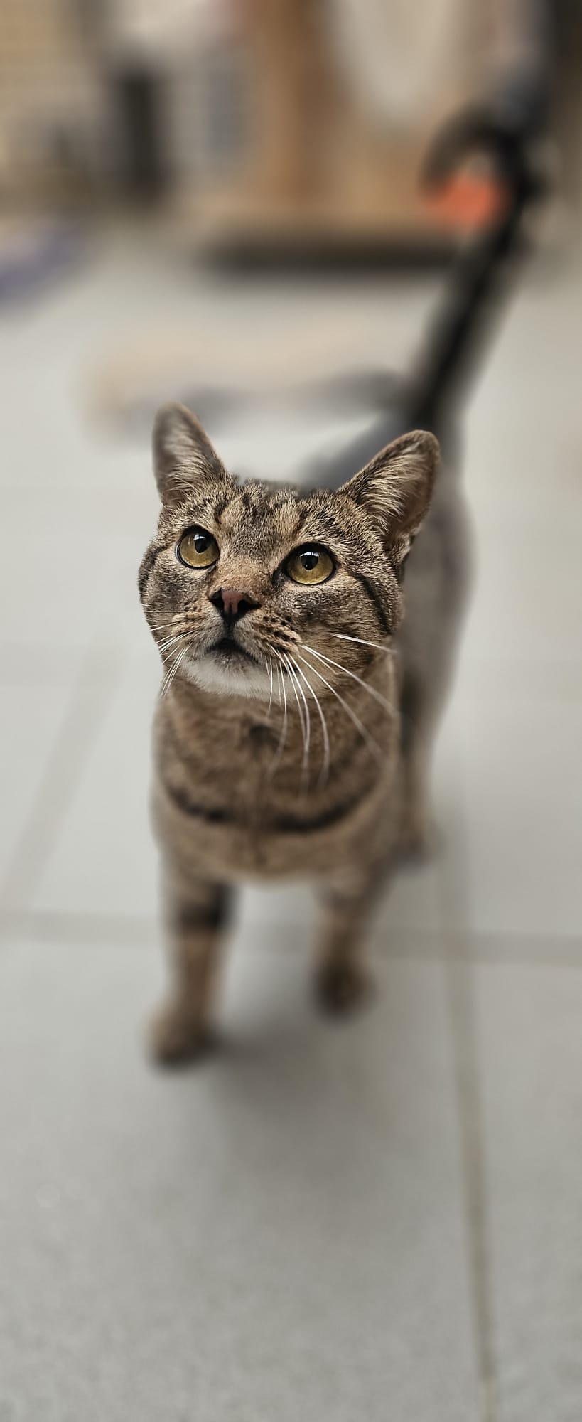 PHOTO-2025-11-06-17-31-30 2