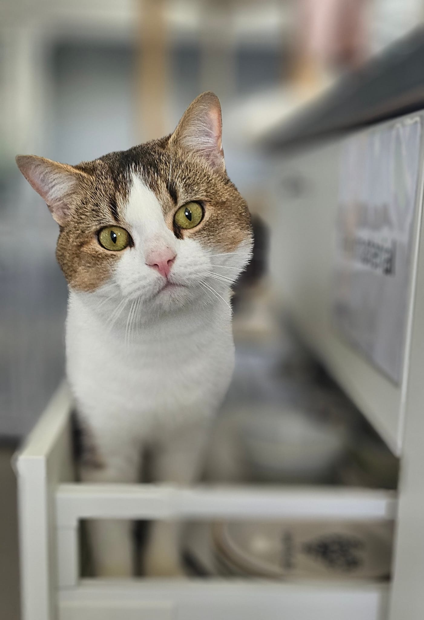 PHOTO-2025-11-06-17-35-22