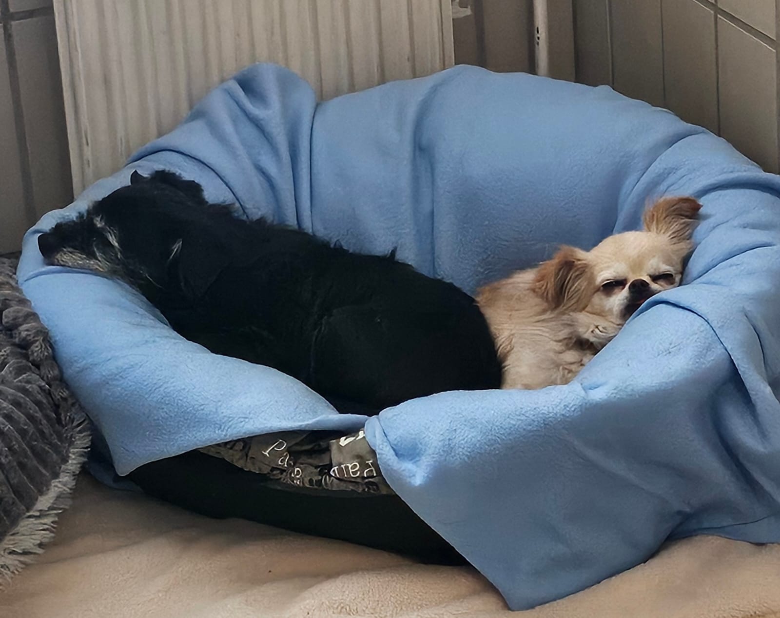 PHOTO-2025-11-24-11-54-16