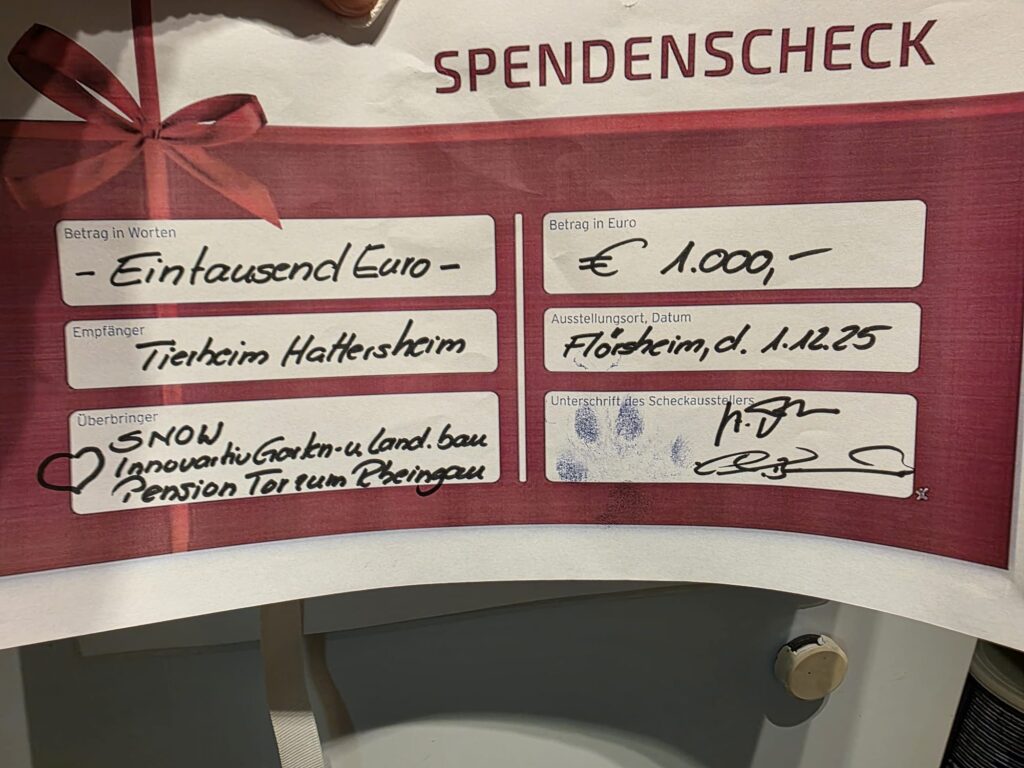 Vielen lieben Dank 🎁 2 Tierheim Hattersheim - PHOTO 2025 12 09 07 14 45 1