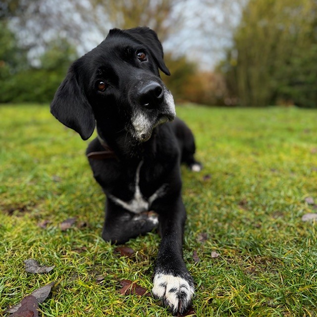 Tierheim Hattersheim - IMG 8003