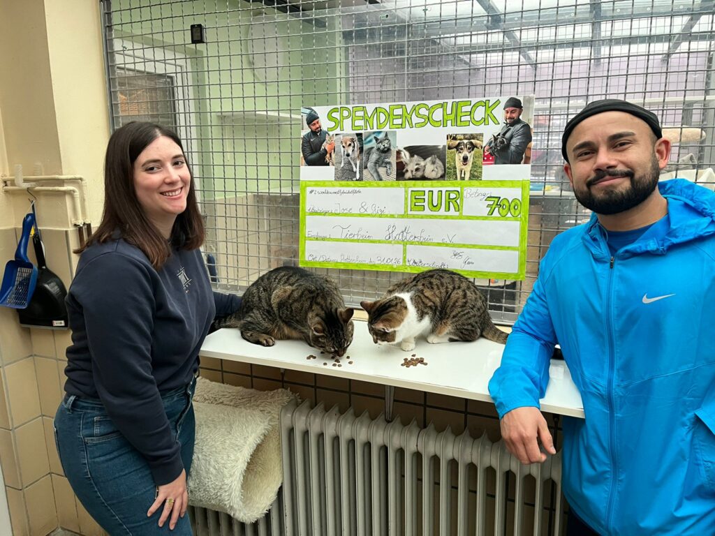 Tierheim Hattersheim - PHOTO 2026 02 01 07 41 33