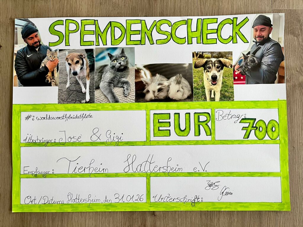 Tierheim Hattersheim - PHOTO 2026 02 01 07 41 33 2