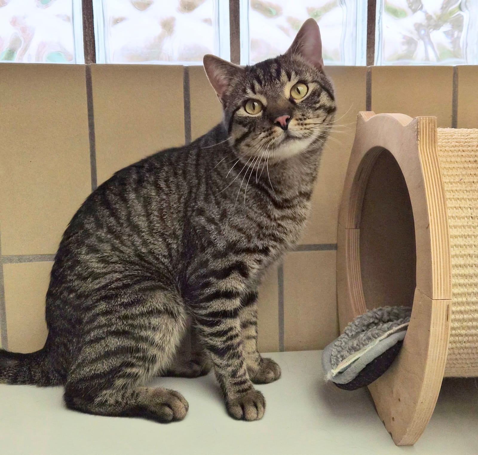 PHOTO-2026-02-27-15-51-11 2