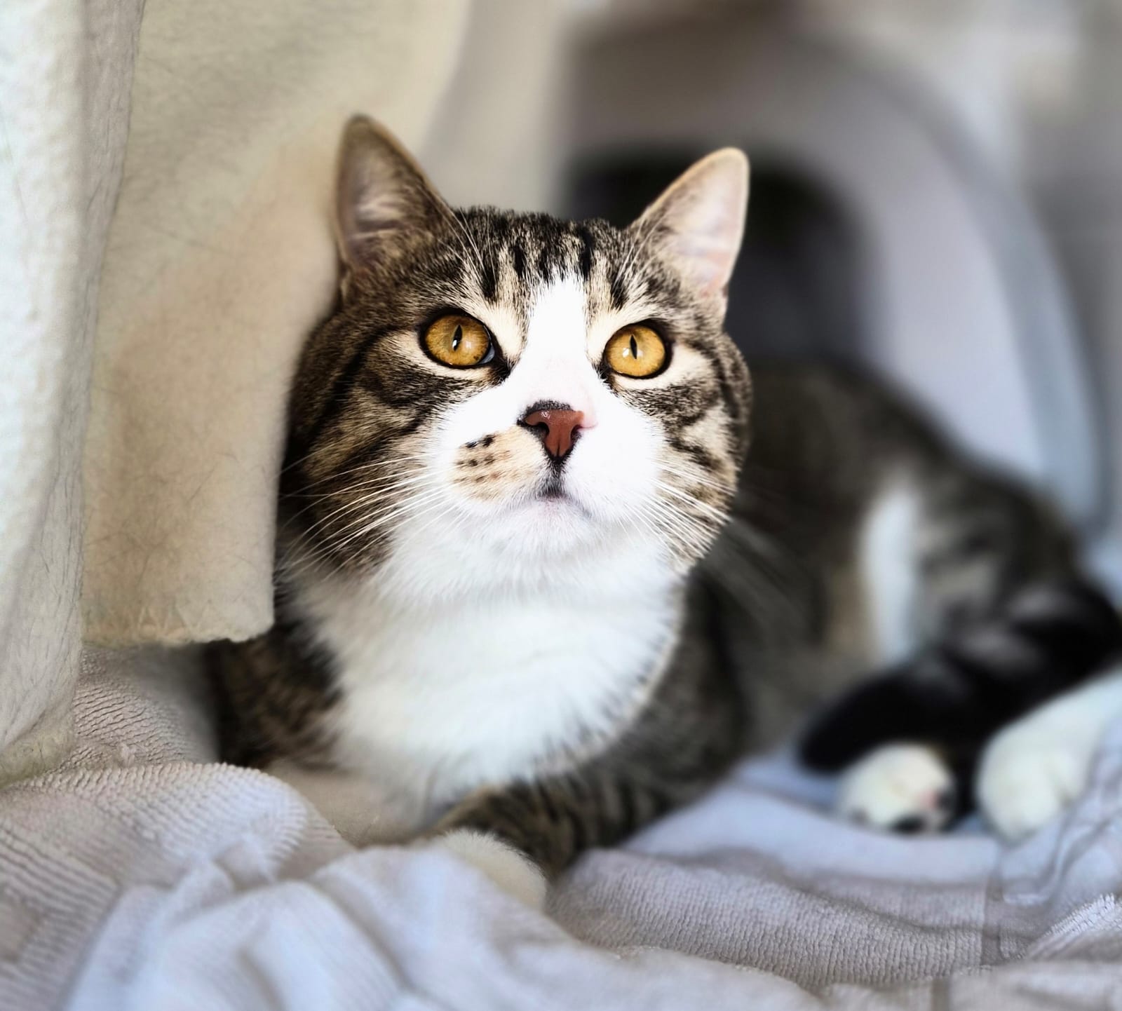 PHOTO-2026-02-27-15-51-35 5