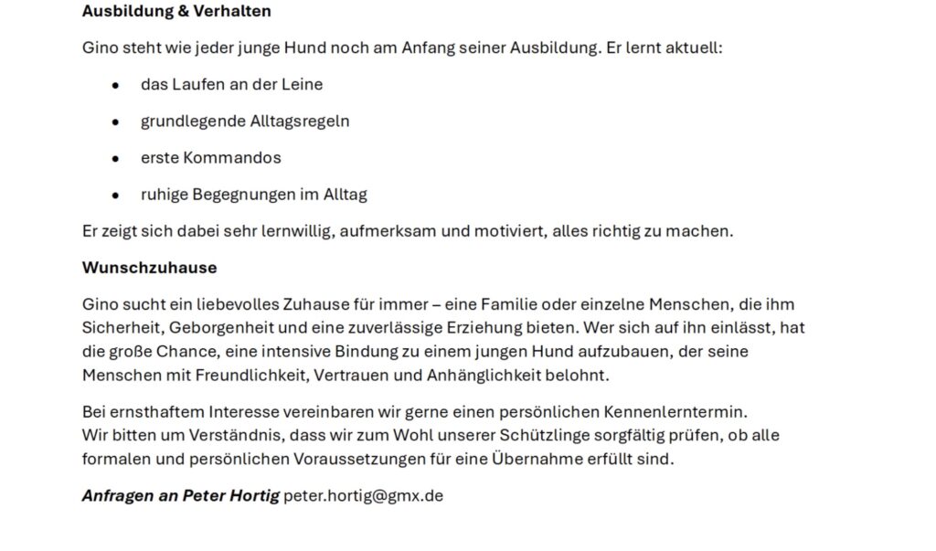 Tierheim Hattersheim - IMG 8305