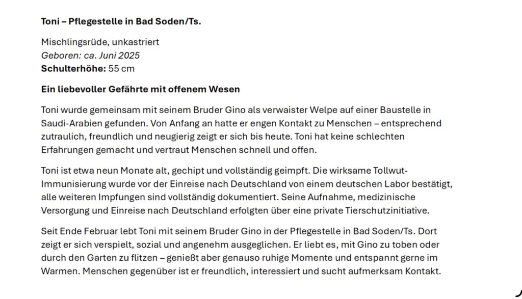 Tierheim Hattersheim - IMG 8309