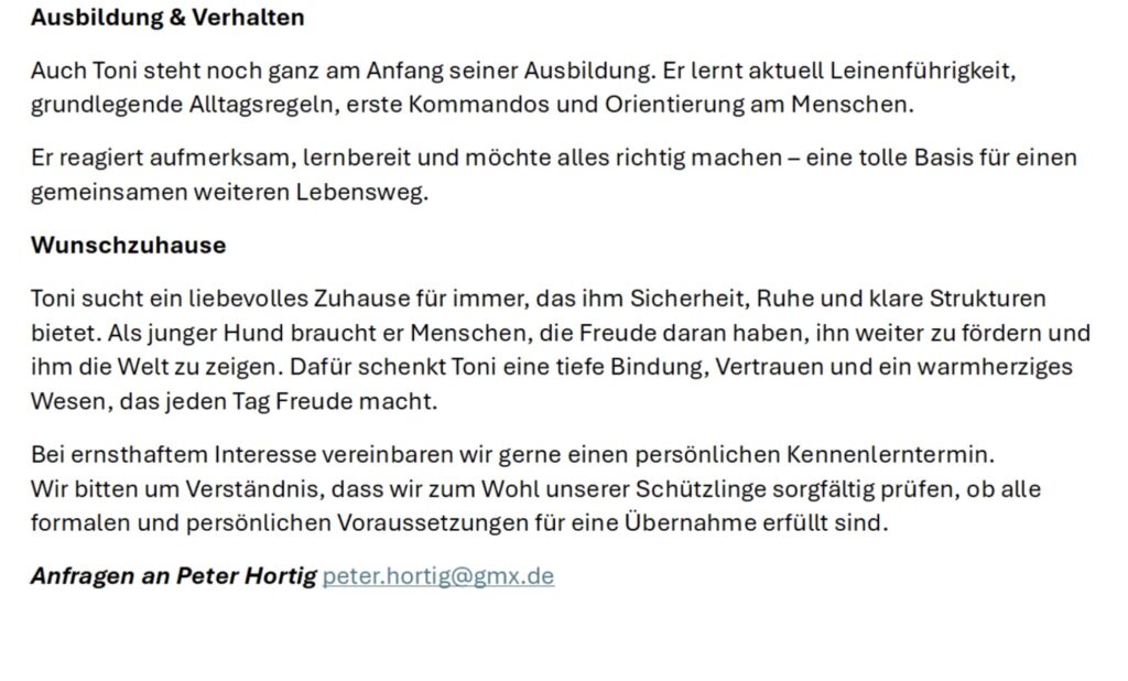 Tierheim Hattersheim - IMG 8310 1