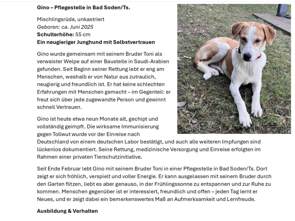 Tierheim Hattersheim - IMG 8314