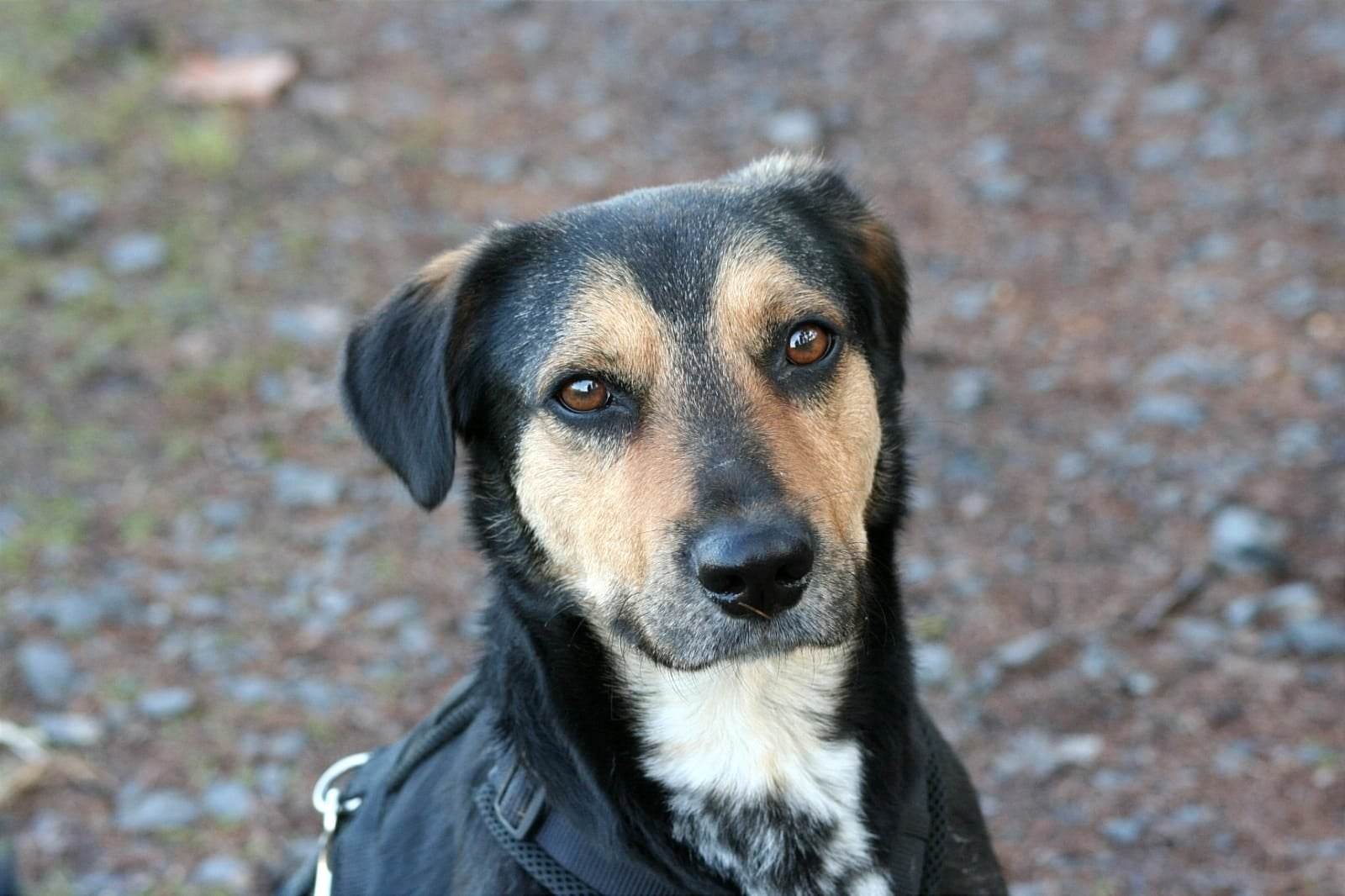 PHOTO-2026-03-14-12-28-40 2