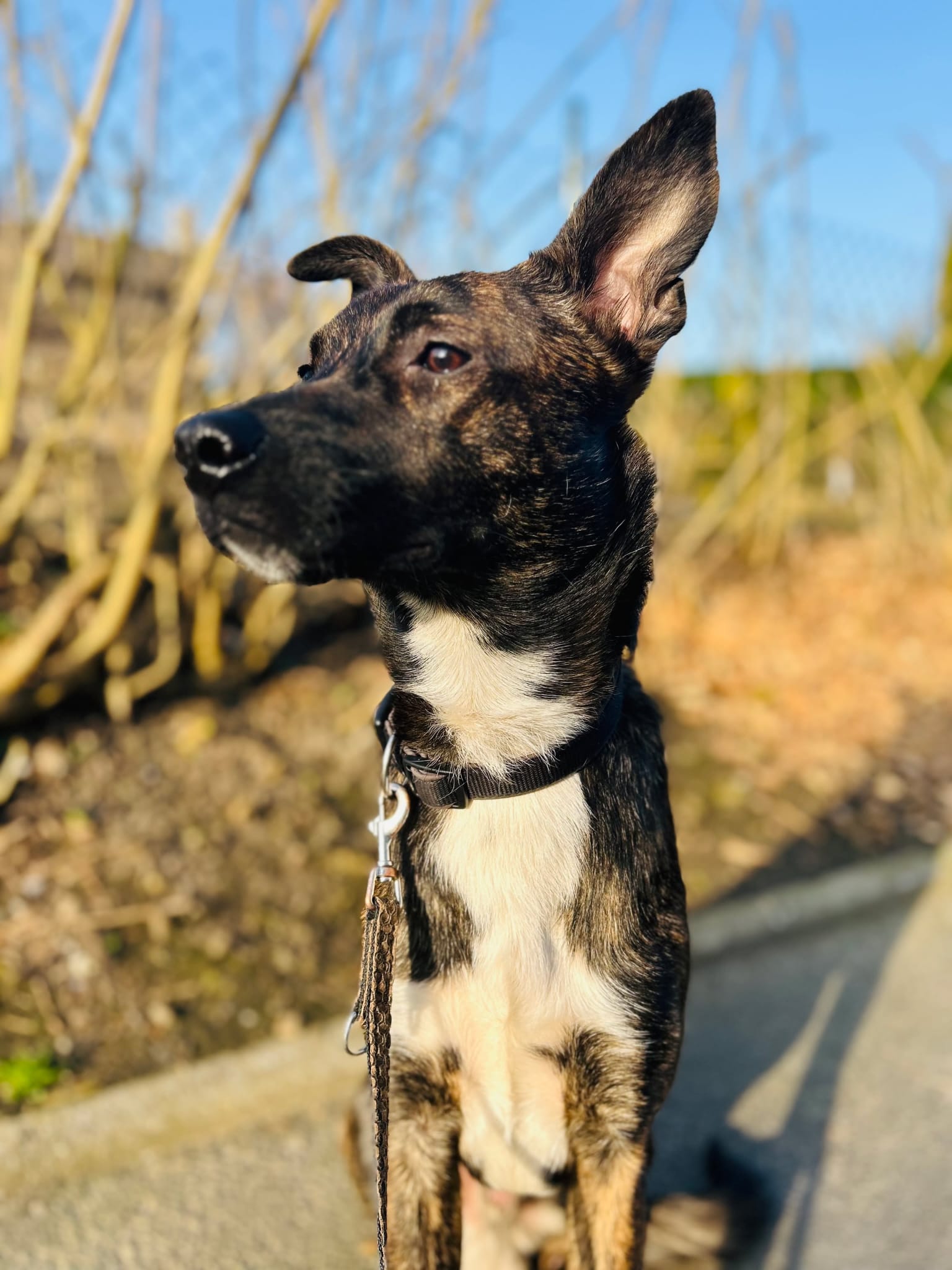 PHOTO-2026-03-14-12-33-15 2