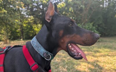 Pablo
