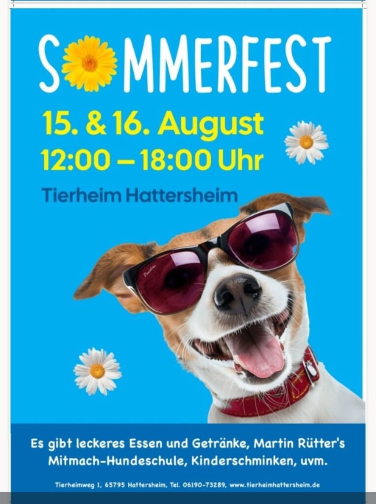 Tierheim Hattersheim - PHOTO 2026 07 06 19 21 30