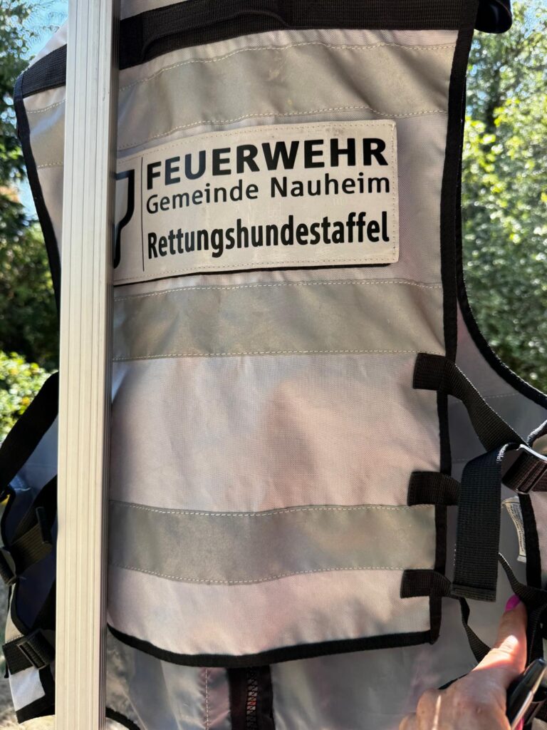 Tierheim Hattersheim - PHOTO 2026 08 19 19 09 11 5
