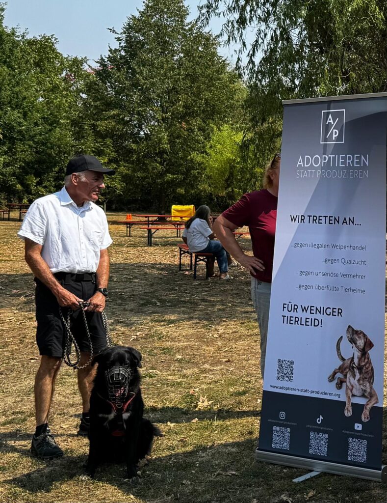 Tierheim Hattersheim - PHOTO 2026 08 19 19 09 11 7