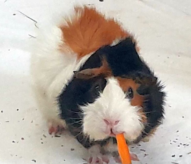 Max