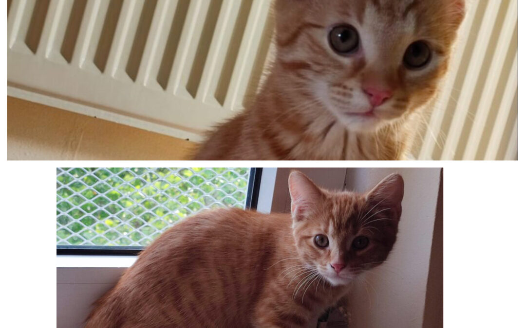 Mania und Marley/ reserviert