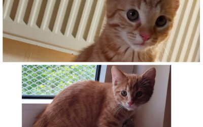 Mania und Marley/ reserviert